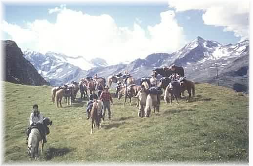 Pferd und Reiter machen Rast hoch oben in den Bergen in Südtirol im Ahrntal